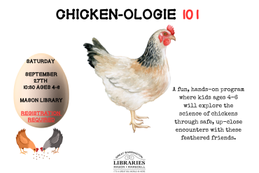 chickens, Hens, Learn about chickens